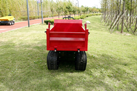 Mini-dumper sur chenilles entièrement hydraulique ANT BY1000M – Mini-dumper utilitaire