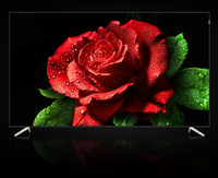 Nouveau stock de téléviseurs intelligents OLED à grand écran de 120 pouces, 4K, 144 Hz, Android, téléviseur pour hôtel, écran large noir, rétroéclairage CCF intégré