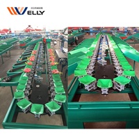 Fruit wassen en sorteren machine/mangosteen sorteermachine/fruit sorteren transportband