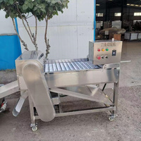 Machine de découpe de poisson pour le traitement des segments, machine à retirer la tête et la queue du poisson, machine à découper le thon, le hairtail, la tilapia, la sardine