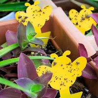 Pièges à insectes super adhésifs pour plantes de pépinière: protégez les jeunes plantes de votre pépinière des insectes nuisibles