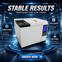 Chromatographe en phase gazeuse YX-9100C en gros, détecteur automatique TCD FID, instrument de chromatographie de laboratoire pour l'analyse du gaz de charbon