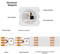 12V WS2815 SIP Eingebaute SMD 5050 RGBIC Adressierbare Programmierbare LED-Streifen Traumfarben Fließende 3D Dynamische Landschafts- und Baumbeleuchtung