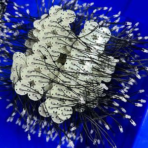 Finder Mirror Circuit Board Module Accessories For Scope Mounts Telescope Microscope Parts Linyi Origin - Product Image 2
