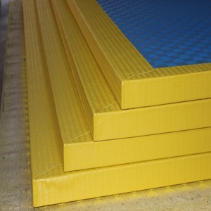 Tapis d'entraînement traditionnel unisexe en mousse de caoutchouc XPE pour arts martiaux, Wushu, Judo, Karaté, Taekwondo, Kung Fu, Jiu-Jitsu, <span class=keywords><strong>Kendo</strong></span> – Jaune - Product Image 2