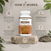 Capsules de Reishi, extrait de champignon en poudre, soutien immunitaire, marque privée, OEM, ODM, approvisionnement en vrac, fabricant direct d'usine