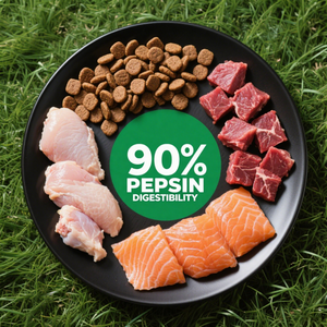 Высокое качество сухой корм для собак с сбалансированными диетическими ингредиентами - Product Image 6