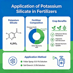 Silicate de potassium liquide de haute pureté pour applications de revêtement 1312-76-1 - Product Image 2