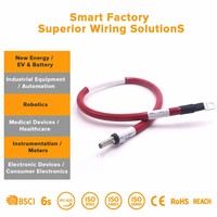 Energy Storage System ESS Power Signal Wiring Harness RS485 Communication for DC Output Control Computer/Motorcycle Use PBT
