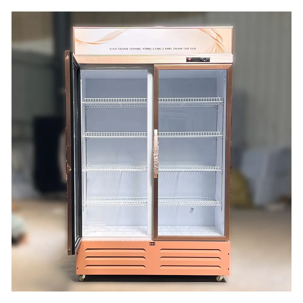 상업용 슈퍼마켓 쇼케이스 냉각기 직립 유리 2 도어 디스플레이 냉동고 펩시 냉장고