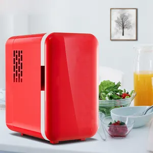 Petit réfrigérateur Mini réfrigérateur Portable pour voiture, vente en gros DC et AC 220V 6L électrique plastique personnalisé Compact maison voiture hôtel