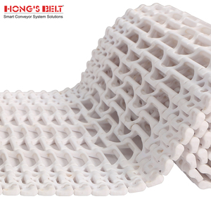 Hongsbelt gıda İşleme plastik modüler konveyör bant modüler kemer konveyör zinciri - Product Image 1