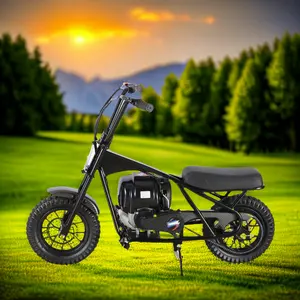 Profesional Gas Powered 2 Ruedas 12,5x2,75 Off-Road Neumáticos 40cc Dirt Bike Ride-On Mini Bike