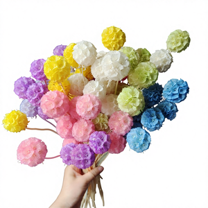 Accesorios de Flores Preservadas de China, Fruta de <span class=keywords><strong>Gusano</strong></span> de <span class=keywords><strong>Pino</strong></span> de una Sola Cabeza, Fruta Molino de Viento, Material para Manualidades, Caja de Flores con Tapa de Vidrio, Venta al por Mayor - Product Image 1