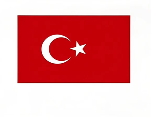 Carga aérea de China a Turquía con servicios de envío profesionales Puerta a puerta Carga urgente Logística de transporte DDP - Product Image 1