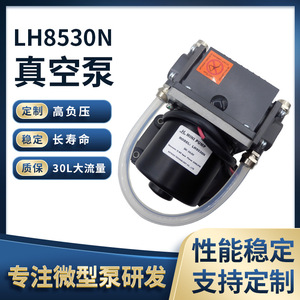 BOTEICH Miniature Vacuum Pump LH8530N DC12V DC24V High Negative Pressure For <b>AGV</b> Medical Electronic Beauty Devices - Product Image 5