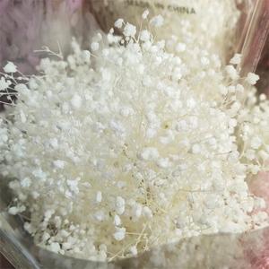 Cadeau en gros pour les femmes Bouquet de fleurs séchées romantique fleur de gypsophile conservée gypsophile séchée babybreath - Product Image 1