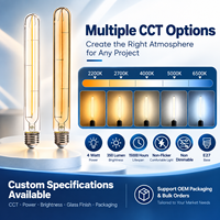OEM / ODM disponible Vintage Long filament LED ampoule à filament tubulaire 4W E27 220V T30L sans scintillement LED filament ampoule CE
