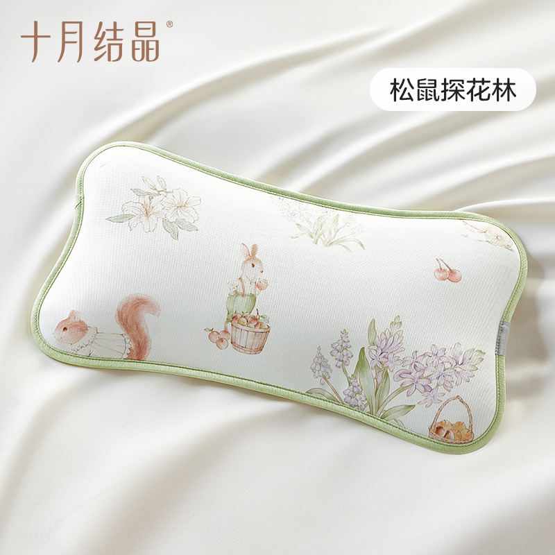 กระรอกสำรวจป่า