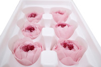 Grosir Selamanya Alam Nyata Diawetkan Mawar Bunga Peony Kelas Diameter 4-5 Cm Austin Rose Kepala Bunga Mawar untuk Dekorasi