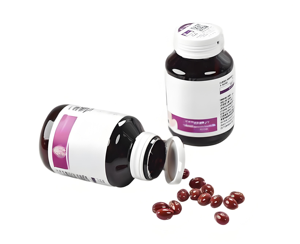 GMP <span class=keywords><strong>Capsules</strong></span> d'extrait de pépins de pamplemousse soucieux de leur santé Suppléments de santé antioxydants sans gluten - Product Image 1