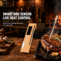 Termometer BBQ Nirkabel Pintar Kontrol Suhu Presisi 0.5C LCD Baja Tahan Karat Food Grade IP68 OEM ODM Kontrol Aplikasi Pintar