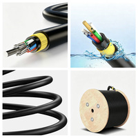 Kabel Serat Optik ADSS Self-Supporting All-Dielectric untuk Pemasangan Udara Dalam Ruangan, Selubung PVC PE, Bersertifikasi CE ROHS, Warna Hitam