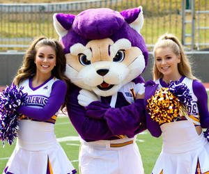 Costume de mascotte sportive Shengye, costume de mascotte de dessin animé de football, de basketball, d'événement, cosplay, peluche EVA, costume de mascotte de loup, de <span class=keywords><strong>lion</strong></span> pour la publicité fantaisiste - Product Image 1