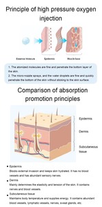 Appareil de mésothérapie à haute pression DOCTOR WATER, machine à <span class=keywords><strong>injection</strong></span> d'oxygène, machine à jet peel, machine à pulvérisation d'oxygène - Product Image 6
