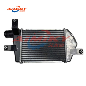 Refroidisseur intermédiaire, pour Mitsubishi Triton L200 MN135001 - Product Image 1