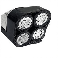 ACC ACSR Aluminium-Elektrokabel Verstärkter Blankleiter PE-Konstruktion Niederspannung 0,6/1 KV Kabel Tai Tong GB/T12706