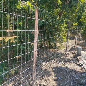 Clôture de champ pour bétail, grillage galvanisé à chaud de type enroulé pour ferme de vaches, moutons, bovins et chevaux - Product Image 3