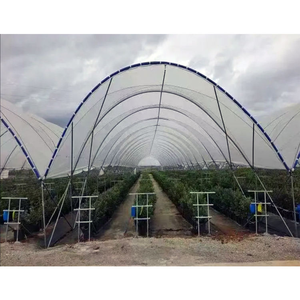 Nouvelle arrivée Serre agricole préfabriquée <span class=keywords><strong>en</strong></span> forme de champignon Serre <span class=keywords><strong>en</strong></span> métal à plusieurs travées - Product Image 3