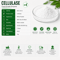 Enzim Selulase Endo-1,4-Beta-D-Glucanase, Preparasi Enzim Selulolitik, Hidrolisis Selulosa untuk Pulp dan Kertas