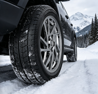 Neumáticos de Nieve Confiables para Condiciones Invernales, Tamaños para Autos y SUV 275/30R20 285/45R20 305/40R20