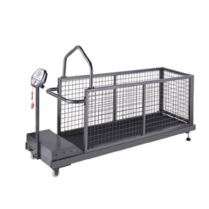5HP 전기 강아지 트레드밀 스틸 애완견 러닝머신 판매 방수 스틸 강아지 어질리티 훈련 장비 - Product Image 4