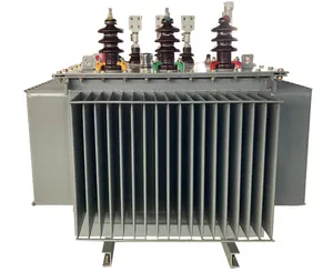 Temperatur-Kaltwiderstand 11 Kv 33 Kv 300 KVA 1000 KVA 10 MVA Öl-Einbausatz Strom-Stromverteilung Preis von Transformatoren