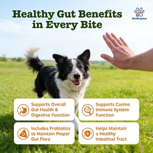 Complément alimentaire pour chien OEM/ODM à mâcher souple pour le système immunitaire des animaux de compagnie Probiotiques naturels pour chiens - Enzymes digestives pour la flore intestinale - Product Image 2