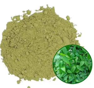 Pure Natural Sabah Snake Grass Clinacanthus Nutans Powder