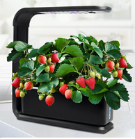 Fantastique qualité jardin puce intérieure Automatisé Starter Kit maison jardin hydroponique Avec La Lumière