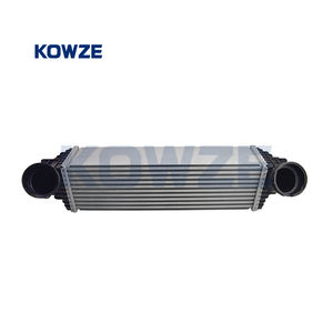 <span class=keywords><strong>Intercooler</strong></span> pour <span class=keywords><strong>BMW</strong></span> X5 E70 <span class=keywords><strong>X6</strong></span> E71 X5 F15 <span class=keywords><strong>X6</strong></span> F16 2008-2016 17517809321 - Product Image 2