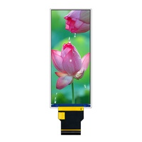 Module d'écran tactile TFT LCD haute résolution de 3.99 pouces 400*960 avec CTP pour deuxième écran