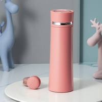 Bouteille d'eau portable en acier inoxydable de 450 ml pour filles, style thermos mignon, simple et tendance, créative pour enfants
