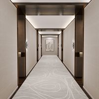 Tapis modernes abstraits de 4 mm d'épaisseur, rouleaux de tapis lavables en nylon et polyester à poils longs pour la maison, l'hôtel et les salles de banquet