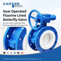 Válvula de mariposa manual de gas con engranaje sin fin revestido de flúor, tipo Lug, autoblocante, de gran diámetro, para desulfuración de aguas residuales, PN16, SS316