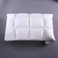 Oreiller en microfibre Queen Size de haute qualité 100% coton 233TC tissu imperméable blanc motif solide extérieur 5 étoiles qualité hôtelière