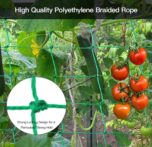 Red de Nailon Verde Resistente a los Rayos UV, Anti-Granizo, para Soporte de Enredaderas en Jardín y Protección de Frutas como Pepinos NETE - Product Image 5