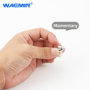 12mm IP65 impermeable 1NO cabeza plana interruptores de botón momentáneos terminales de 2 pines de Metal para electrodomésticos - Product Image 2