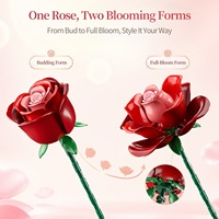 Blocs de construction en forme de bouquet de roses botaniques, fleurs éternelles, décoration intérieure, cadeau pour la Saint-Valentin, Noël, les fêtes, les anniversaires