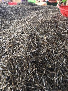 Anchoa seca de pescado seco de sabor natural de Vietnam ingrediente fresco sabroso envasado al vacío varios - Product Image 5